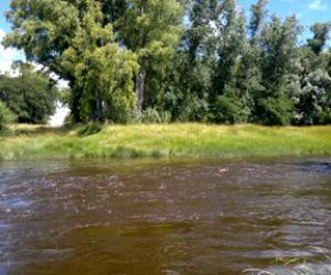Informe de situaci�n de la crecida del arroyo Azul (24hs)